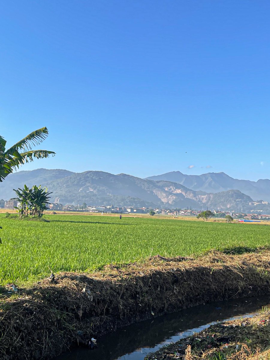 rizrizkyamalia's tweet image. Jalan dikit dari rumah bisa lihat pemandangan cantik begini ✨🍃