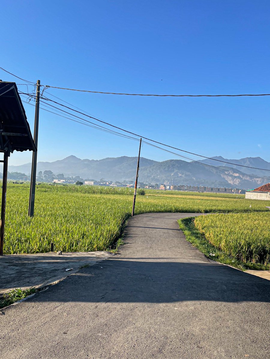 rizrizkyamalia's tweet image. Jalan dikit dari rumah bisa lihat pemandangan cantik begini ✨🍃