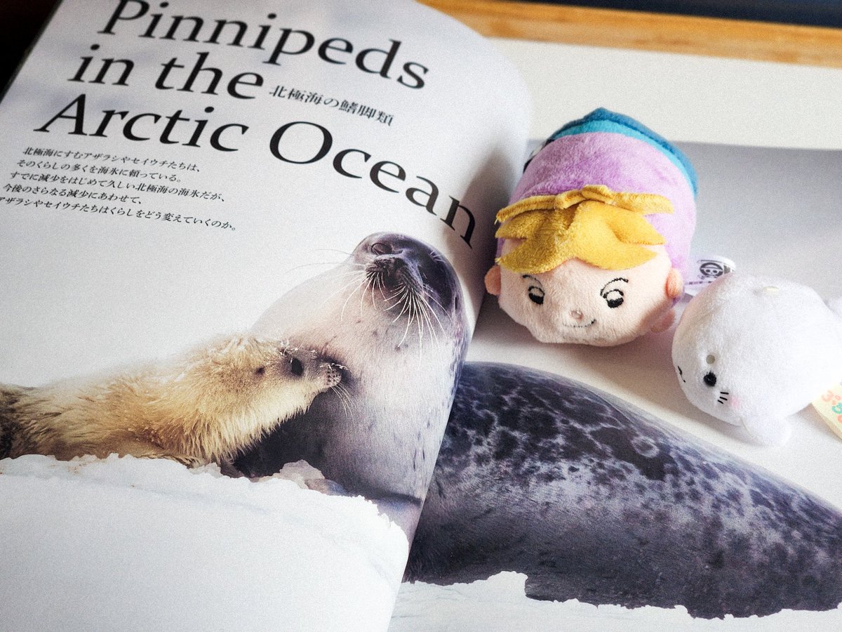 ﾄｯﾓが贈ってくれた😭🫶🫶🫶🦭