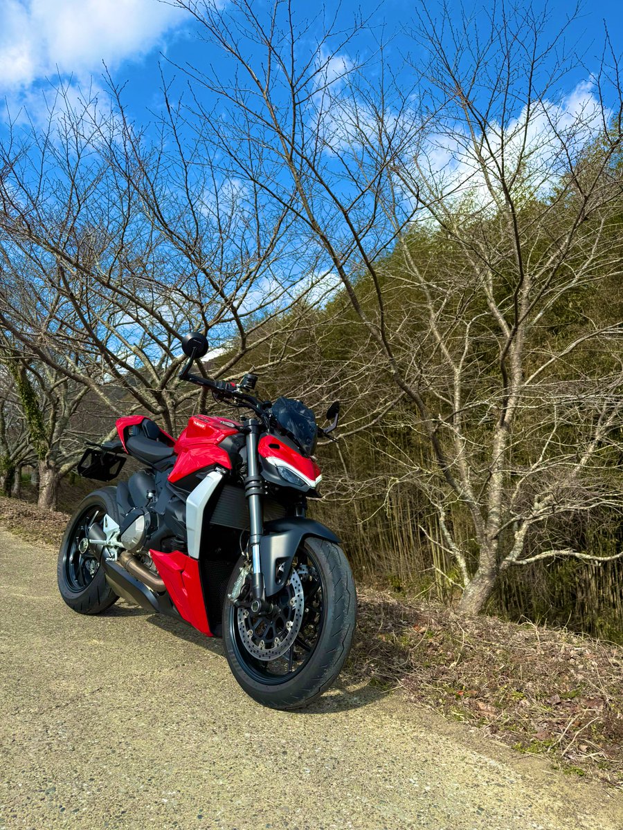 花鳥風月 tweet media