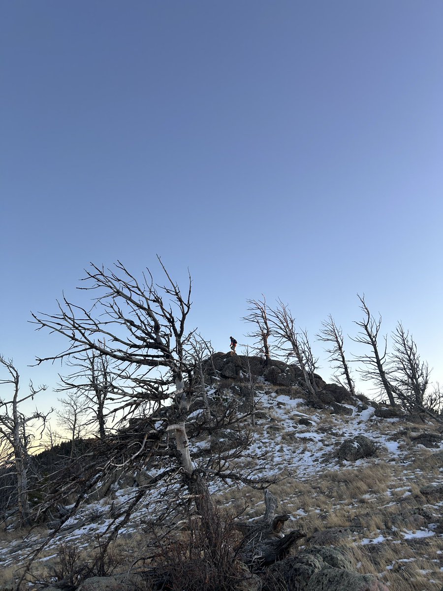 He lost his dog so went higher up to call his name. Paco eventually found us again