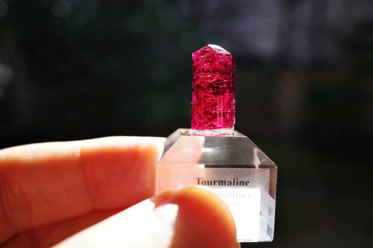 Mbay(えむべい) tweet media