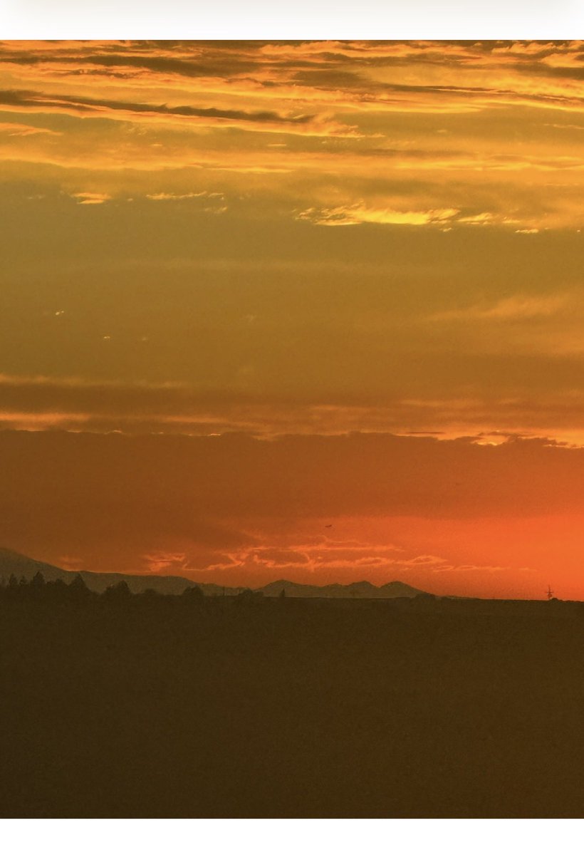 Robert Treta(Denver Mayoral Candidate)169420 tweet media