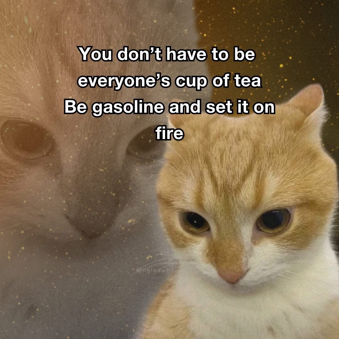 Norin (@wakungwa) on Twitter photo 