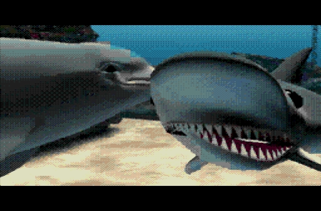 Ecco the Dolphin Online 🐬 tweet media