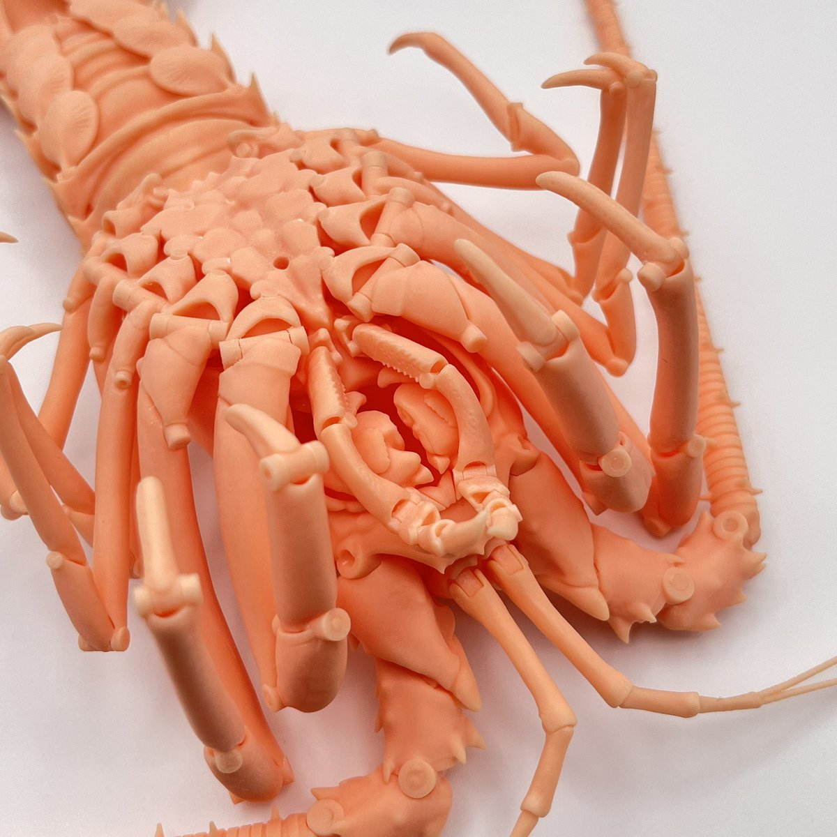 マルソデカラッパに引き続き、レジン製自在伊勢海老の在庫を追加しました。
実物同様、尻尾をくるっと巻き込めます。歯もヒレも脚も触覚も気が済むまで動かせます。床の間に飾れば、いつでもおめでたい雰囲気を味わえます。minneをのぞいてみてください👀
minne.com/items/41606444