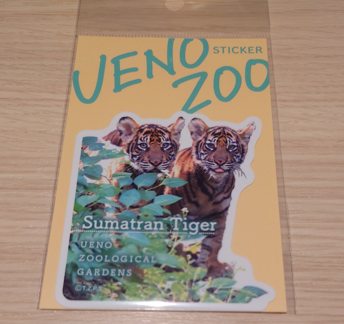 Post by うに 𓃠𓃠 on X: 🐯🐯