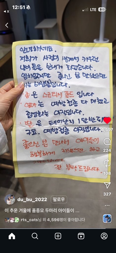 다행히도 쉼터에서 보살핌받고 있어서 안락사 걱정은 없는 것 같아요!
근데 진짜 이 한파에 저렇게 구멍 뻥뻥 뚫린 가방에 버려놓고 잘 부탁드린다니 양심 좀…딸은 태어난지 1달 반 됐는데 고양이 임신 기간 꼴랑 9주인데 4달 동안 무슨 사정이 생기셔서??? 접종은 하고 중성화 안 한 거 보면