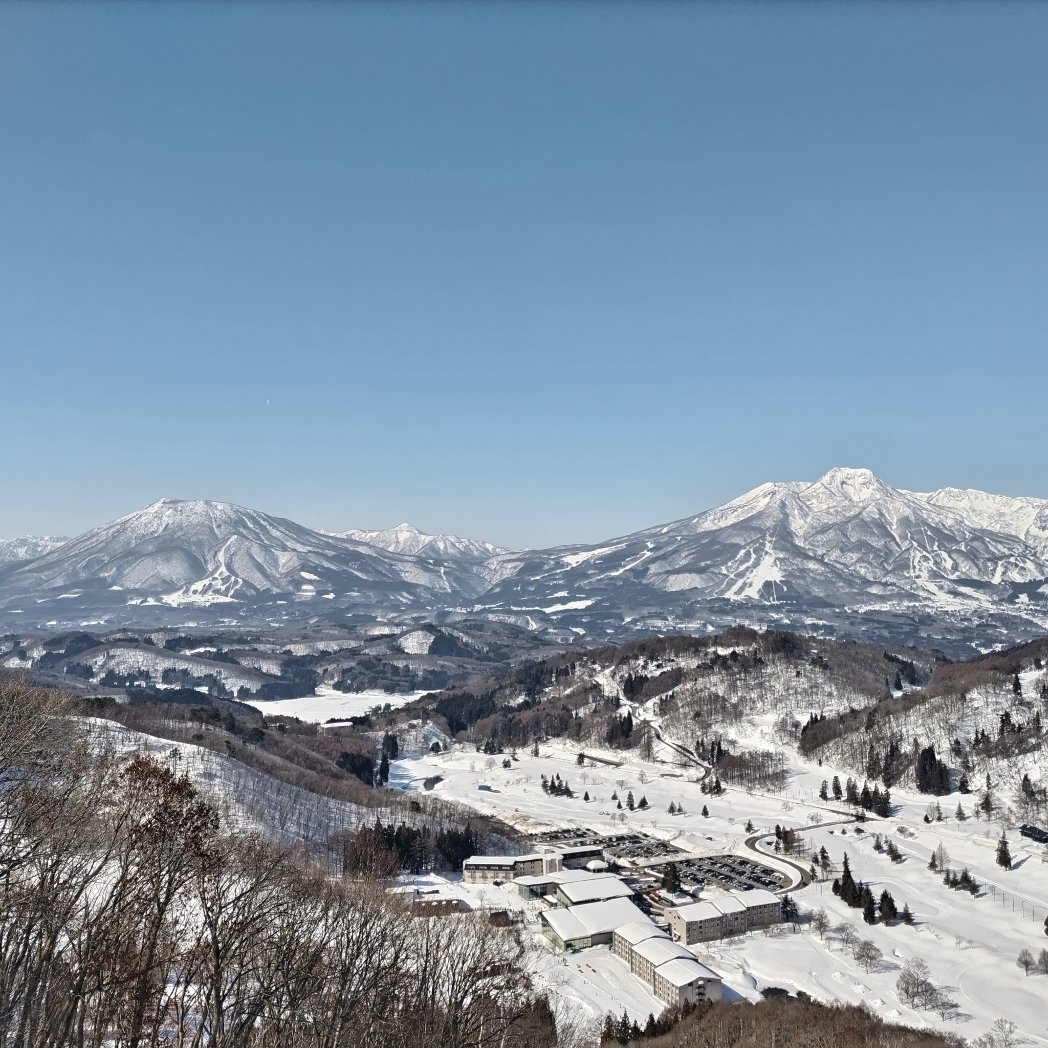 CorgiFireweed's tweet photo. 雪が溶けてしまう前に滑りに来た！
⛷️⛷️
第6リフトのコース脇にはニホンカモシカが佇んでいましたよ♡ https://t.co/AJ87yQUPou