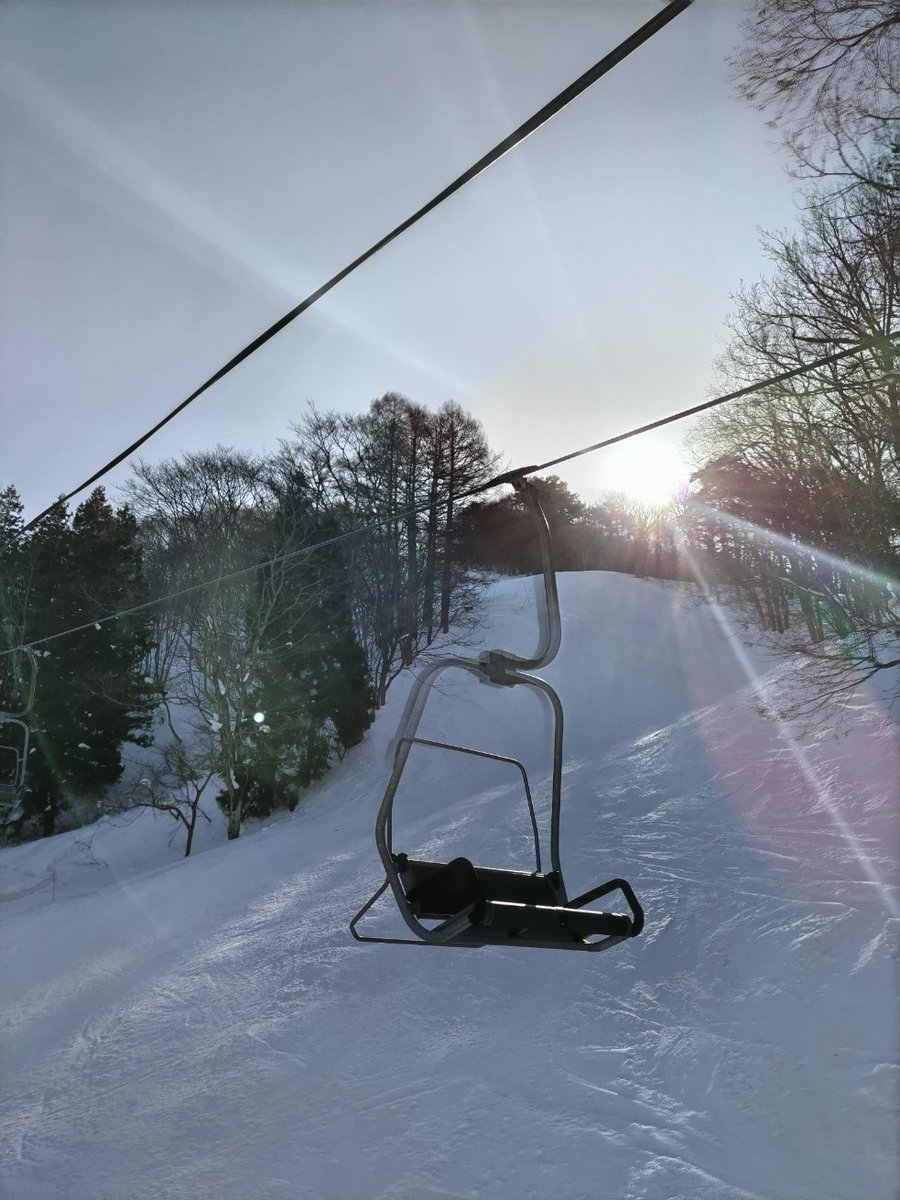 CorgiFireweed's tweet photo. 雪が溶けてしまう前に滑りに来た！
⛷️⛷️
第6リフトのコース脇にはニホンカモシカが佇んでいましたよ♡ https://t.co/AJ87yQUPou