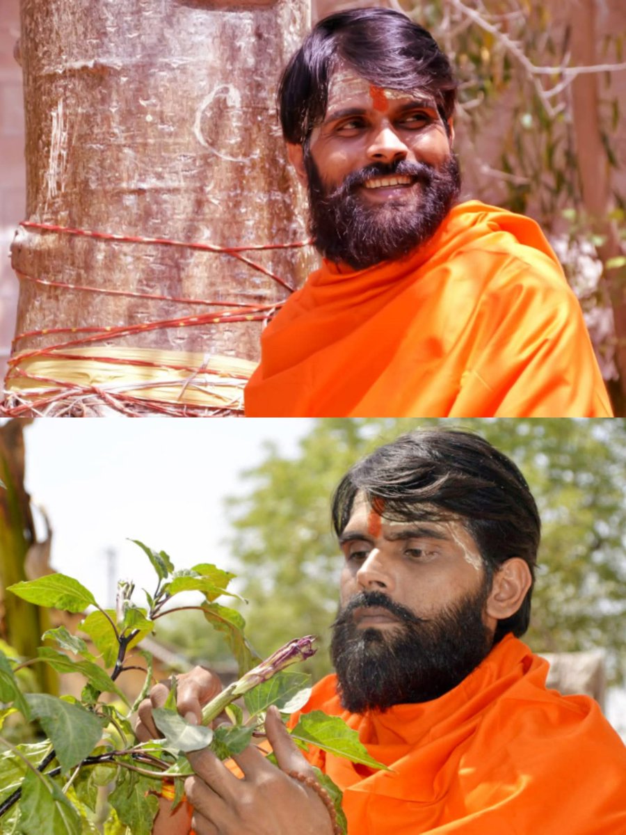 Tree Man Of India tweet media