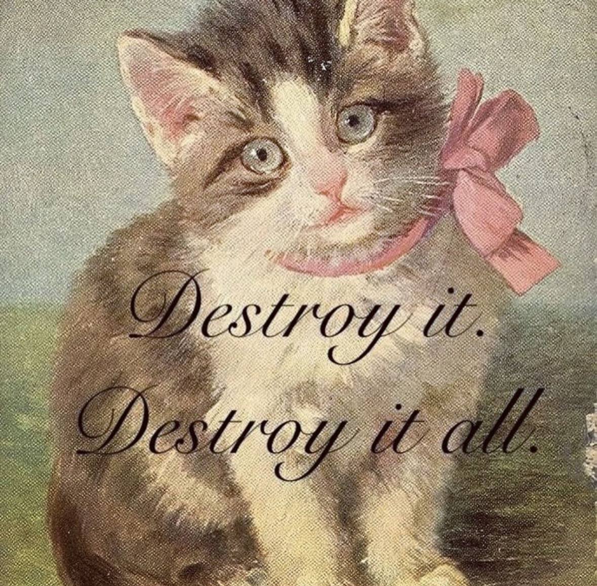 Alien Perspective (@wigglyair) on Twitter photo 