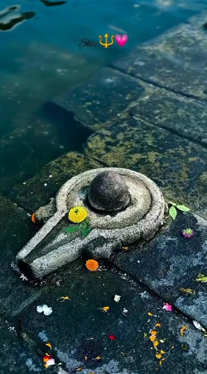 अनमोल😈 😈❤ tweet media