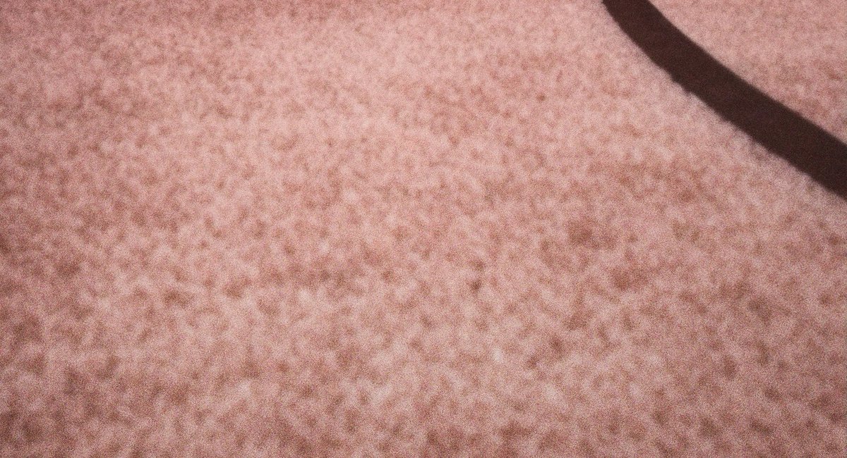 itzz_Yuvan's tweet image. Give a like to Sabrina carpenter, or have a terrible february 2026