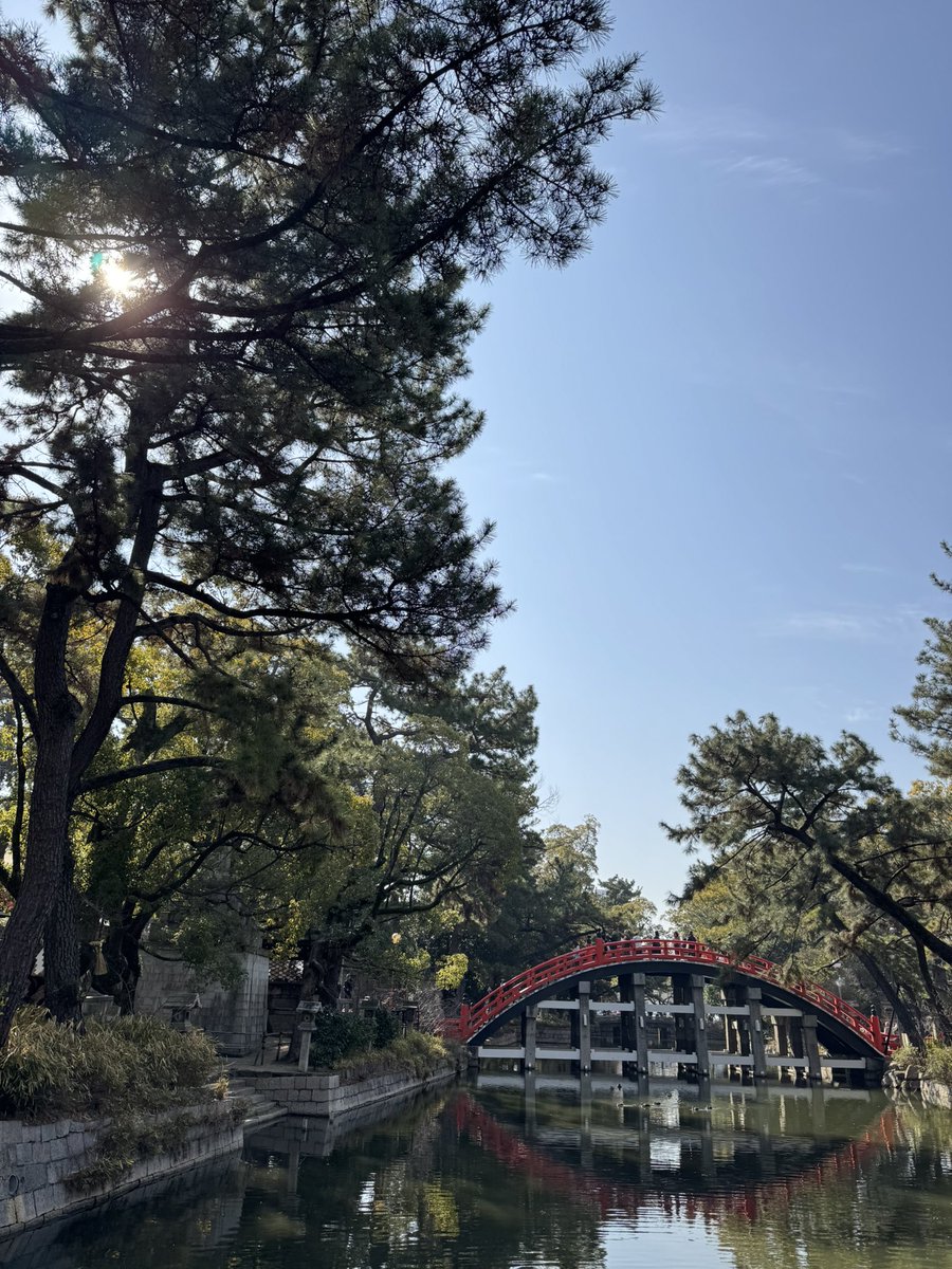 F_ever7's tweet photo. 大阪住吉大社⛩️
参拝中に「Ｖ」を背負った白鳩さんが前を横切ってテクテク🐦💕可愛い😍

何か良い事ありますか？
あります様に🌈
皆様にもあります様に💜 https://t.co/7gK1r3PVr1