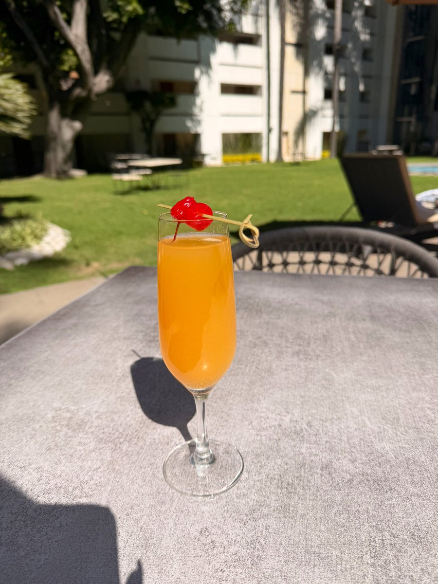 Mexico City 🇲🇽 — Sunday
An exclusive and carefully curated agenda reserved for private, elegant, and truly memorable experiences.

Wa.me/525540773296 📲

<a href="/MarciKoltermann/">𝑀𝑎𝑟𝑐𝑖 𝑘𝑜𝑙𝑡𝑒𝑟𝑚𝑎𝑛𝑛</a> 👑