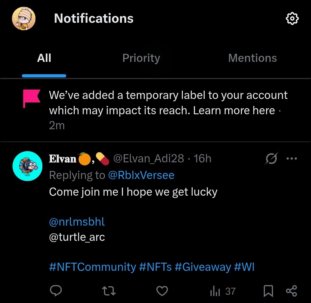 Turtle (Comeback Arc) tweet media