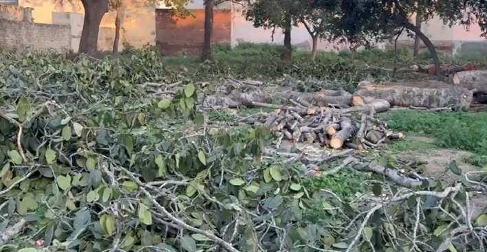 bstvlive's tweet image. मुज़फ्फरनगर : वन माफियों ने काट दिए बरगद के पेड़

➡वक्फ बोर्ड की जमीन पर थे पेड़
➡मुस्लिम लोगों पर पेड़ कटवाने के आरोप
➡खतौली तहसील क्षेत्र का मामला

#Muzaffarnagar #TreeCutting #WaqfBoard @muzafarnagarpol