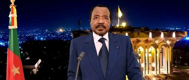 MMI News tweet media