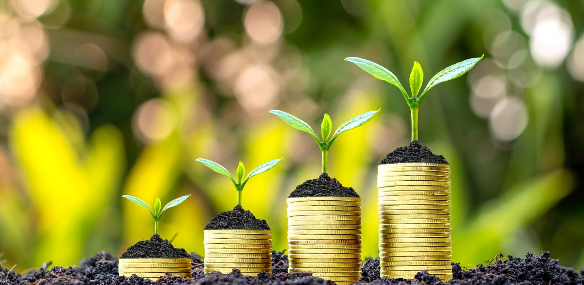 موقع الدرر السَّنيّة tweet media