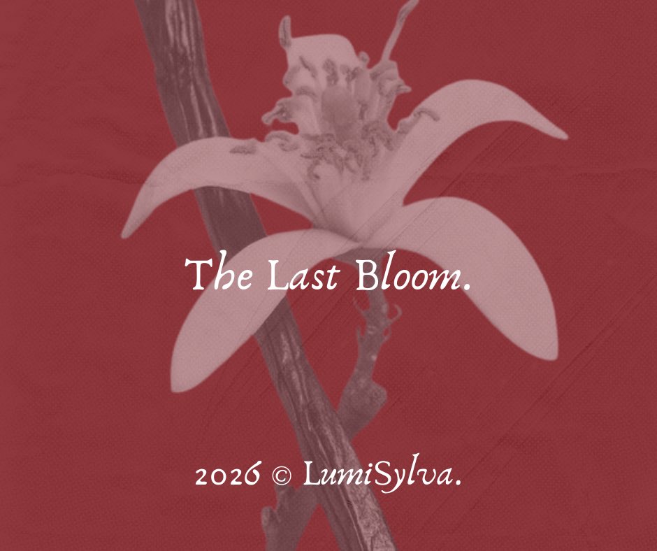LumiSylva's tweet photo. An evening where the forest gathers its final light. As the season turns and petals fall, 𝓛𝘂𝗺𝗶 𝓢𝐲𝐥𝐯𝐚 opens its gate one last time. May this final bloom linger with us, even after the lights fade. https://t.co/AP3fgAI9cr