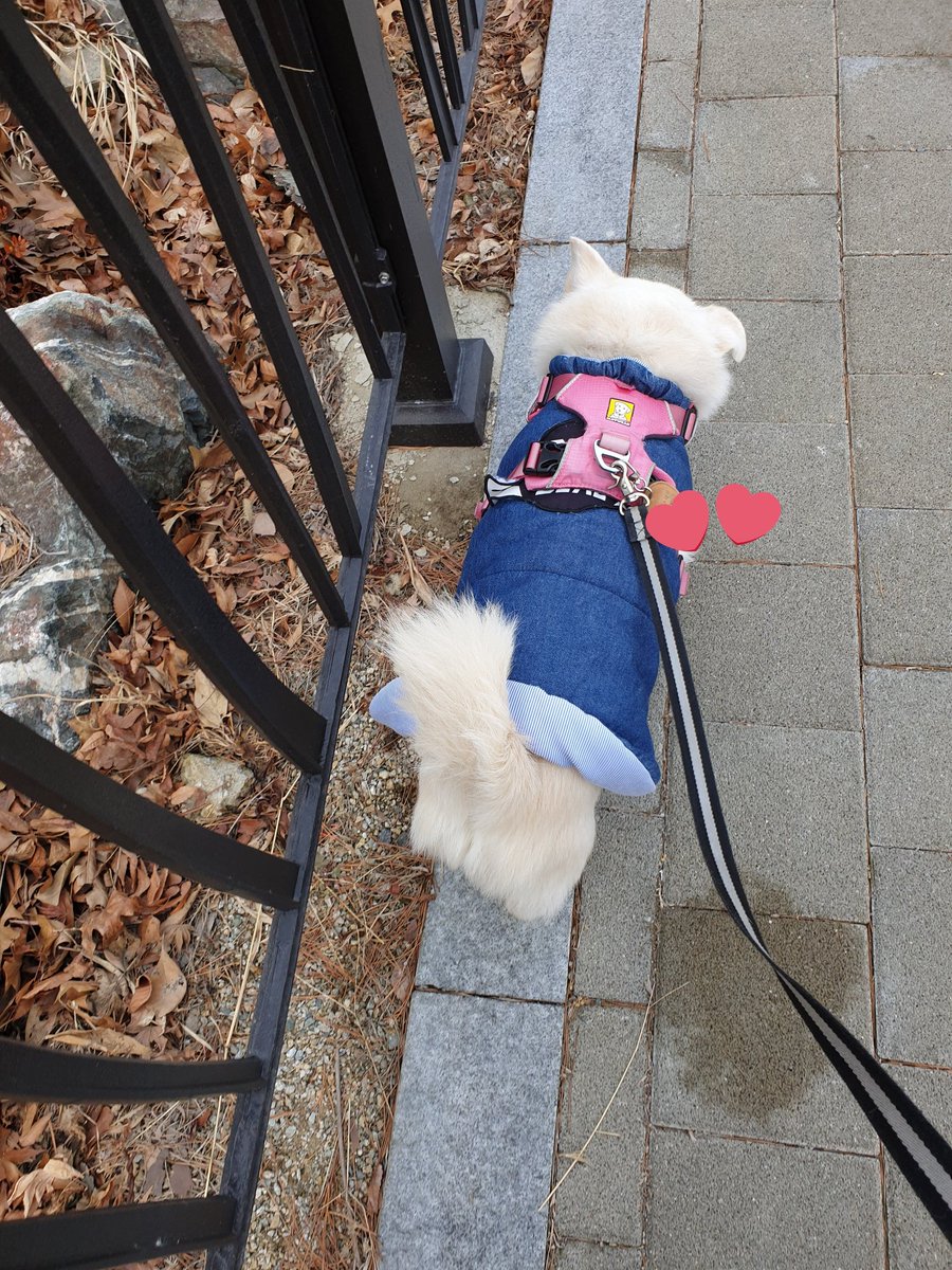 당근🌈🌹☂️ tweet media