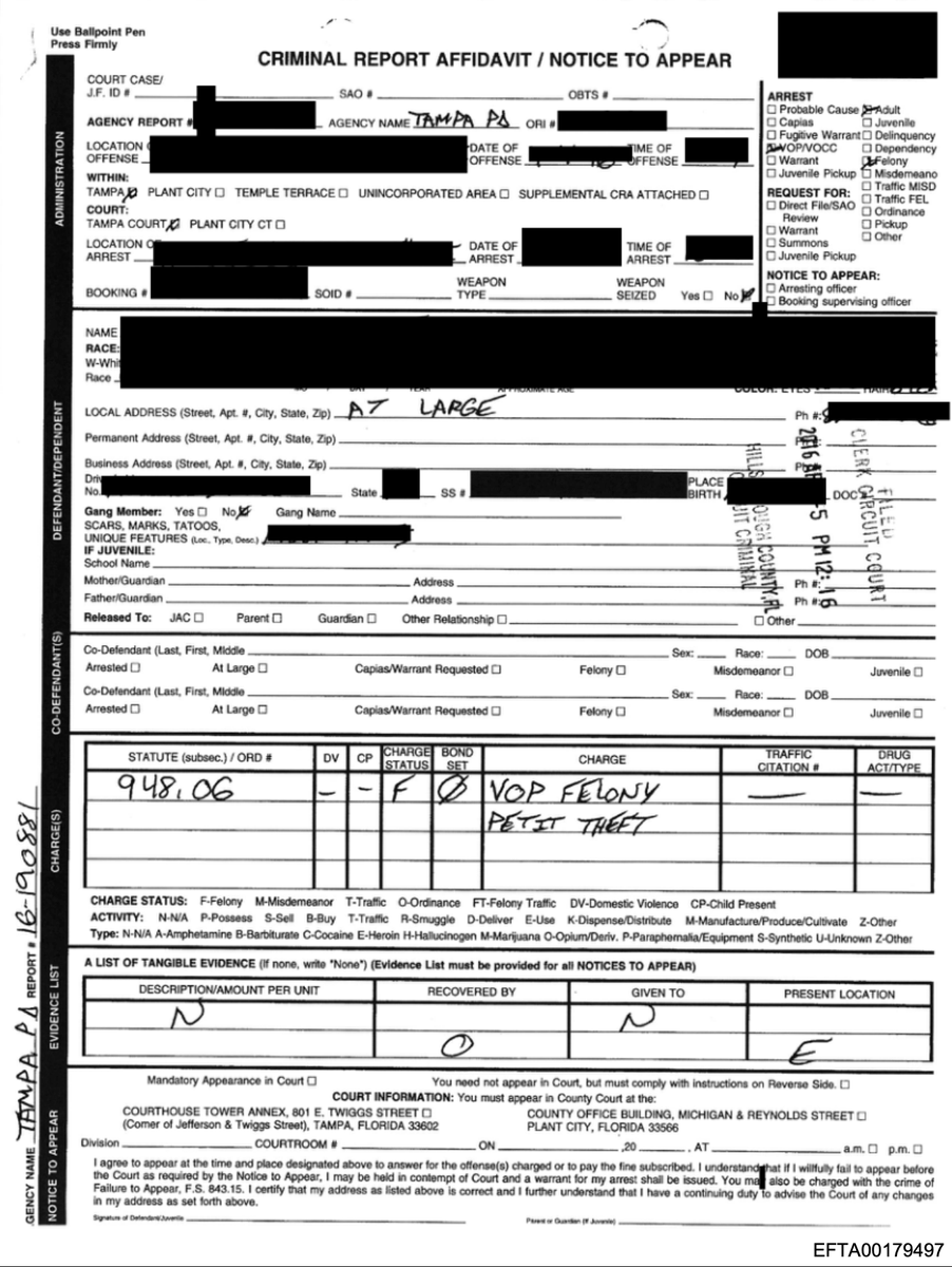 Courtney Wild, alleged Epstein victim, was convicted of trafficking methamphetamine, absconded from a residential drug treatment facility, and was arrested again for stealing from Wal-Mart, but her lawyer didn't want the public to know any of this, so he demanded these redactions