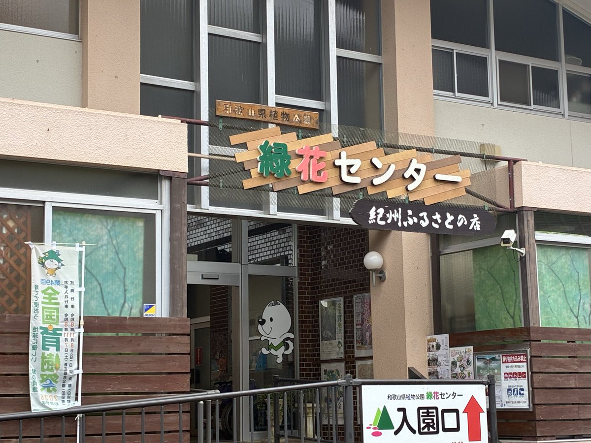 JJ2CJB (@JJ2CJB) / Posts / X