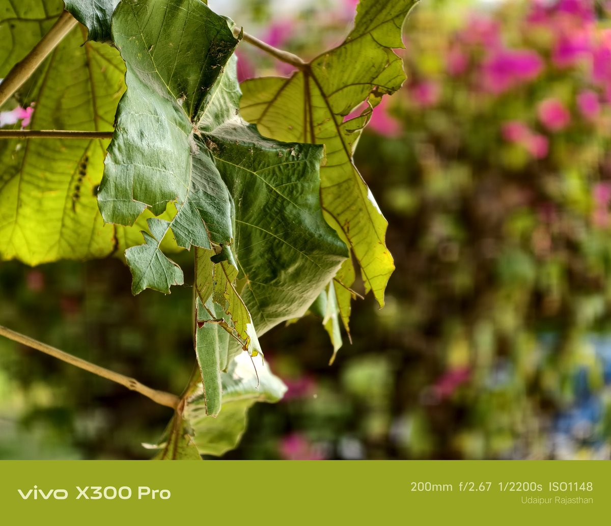 Nakli Shady ☢ tweet media