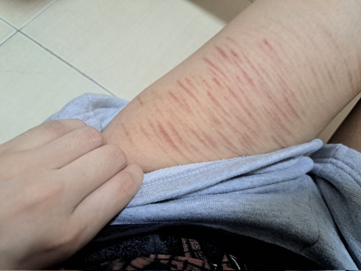 noah// sh(ed)twt tweet media