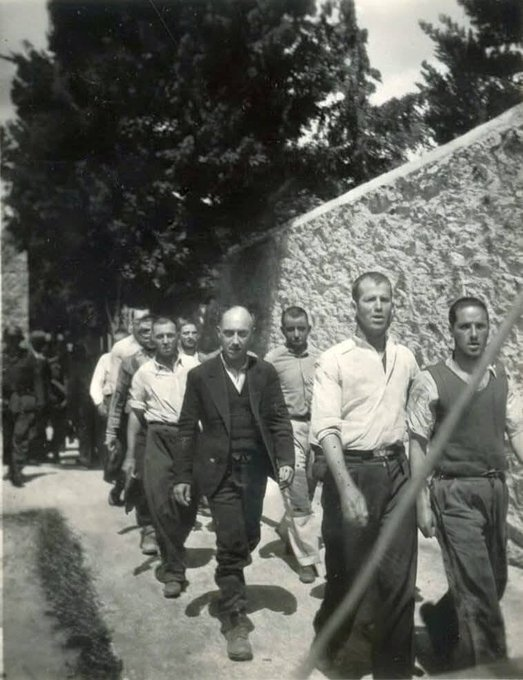 lao_tso3's tweet photo. Κοιτάξτε τα βλέμματα, ξέρουν αλλά κοιτάνε το καθίκι στα μάτια... ΑΘΑΝΑΤΟΙ https://t.co/fMsj0AH1IY