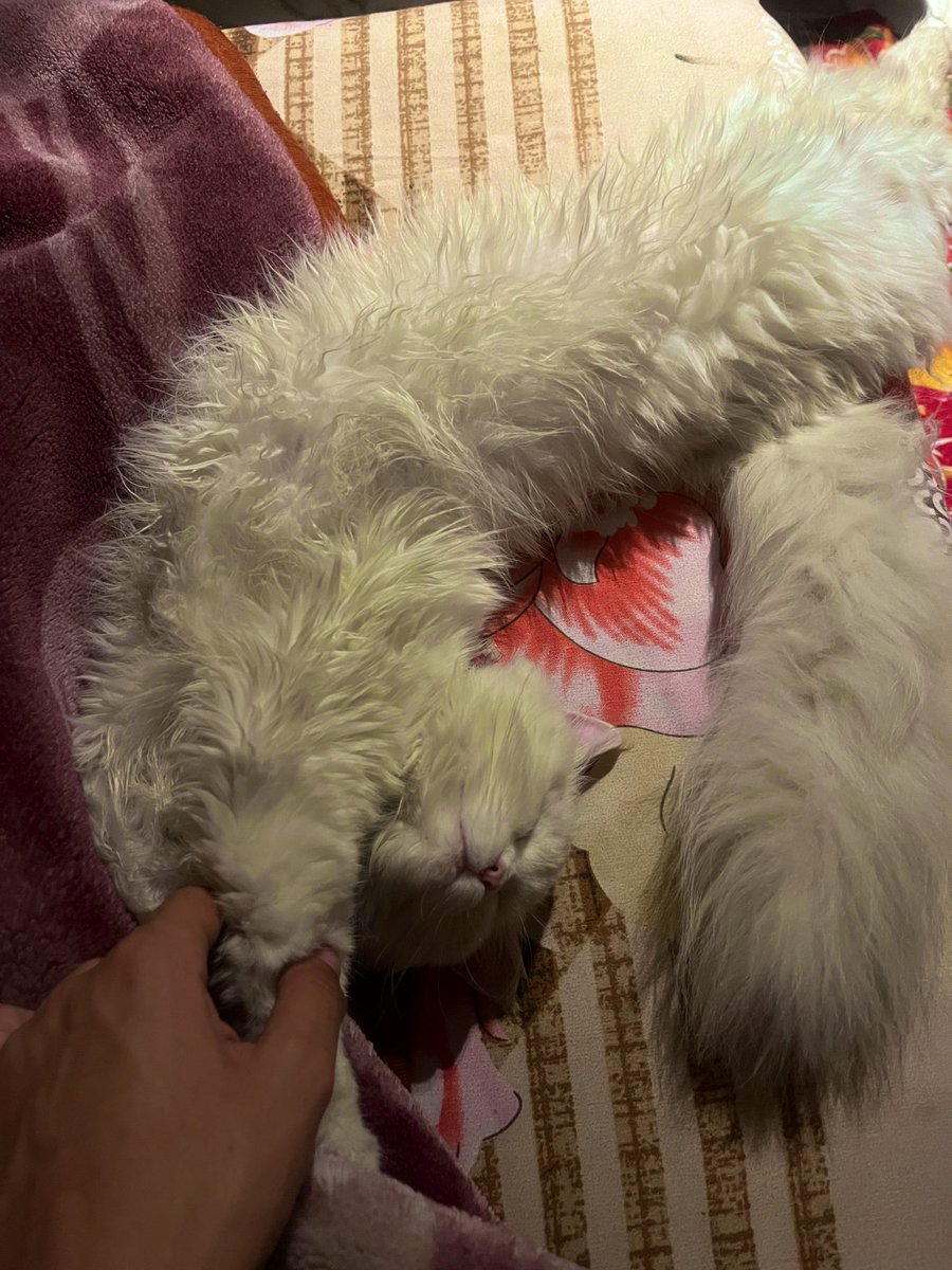 Varun Kapoor tweet media