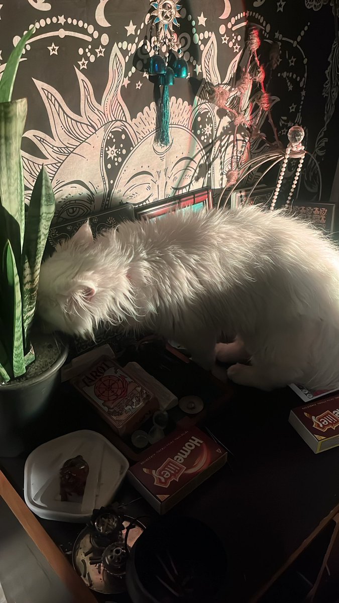 Varun Kapoor tweet media