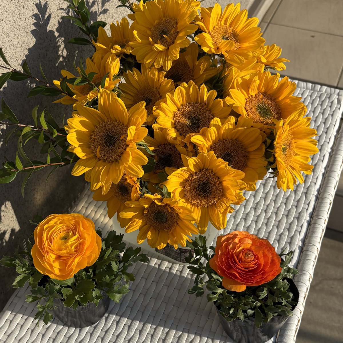 酒井省吾ShogoSakai tweet media