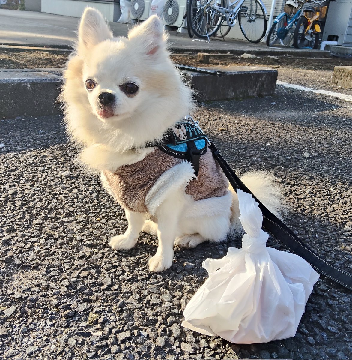 じゅんじゅん (@junjun_kana) / Posts / X