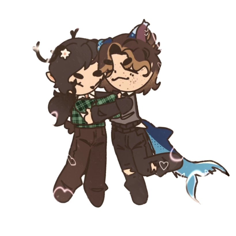 Blue 🦈 tweet media