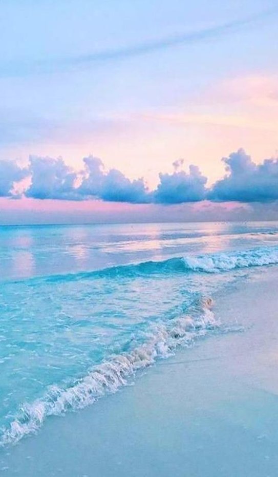 Sweb17's tweet image. 朝の掃除です 🌱