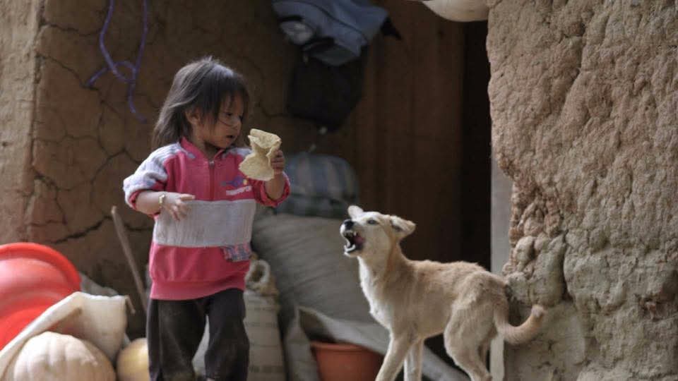 Elena Chávez tweet media