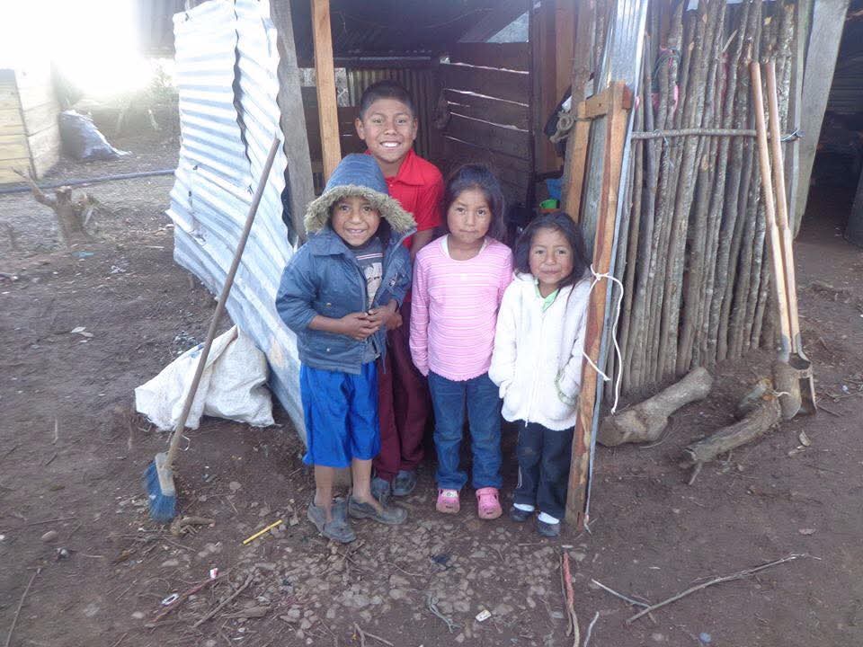 Elena Chávez tweet media