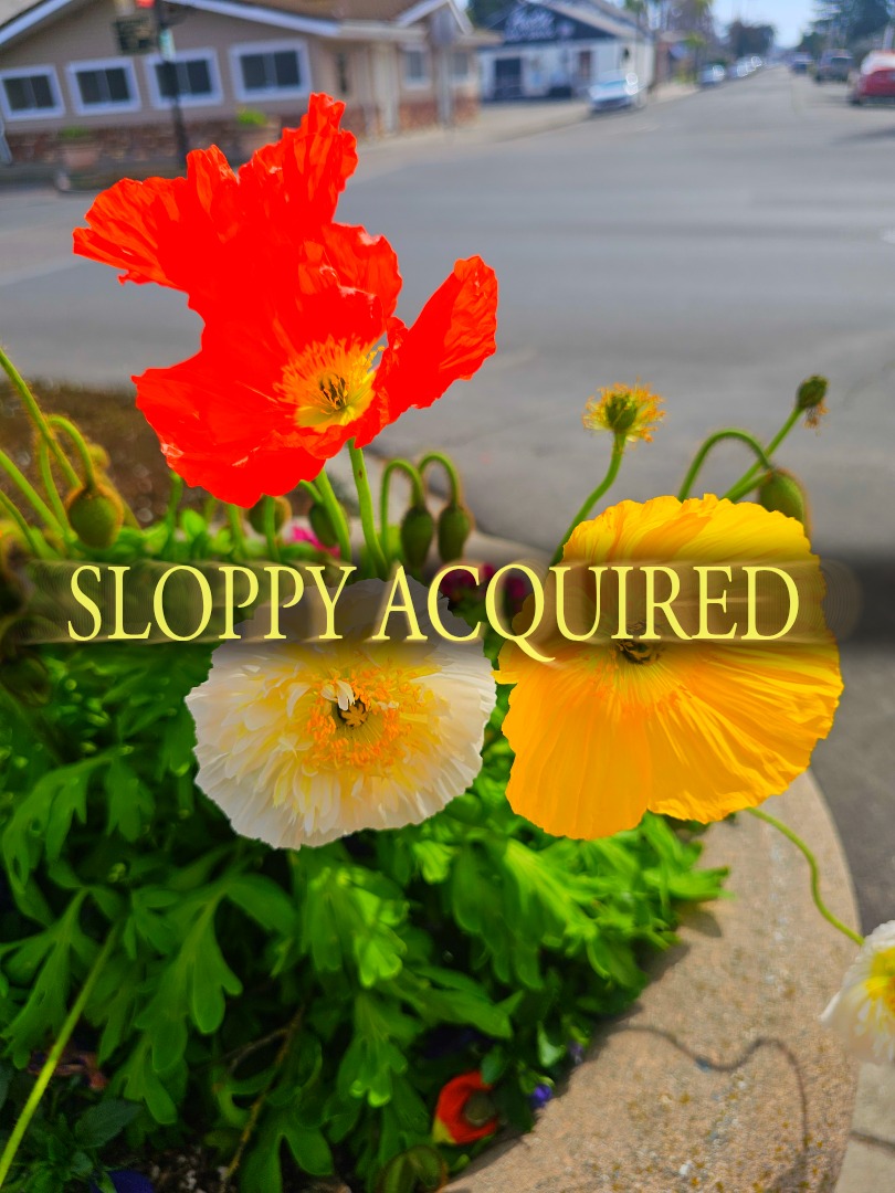 had a nice valentines