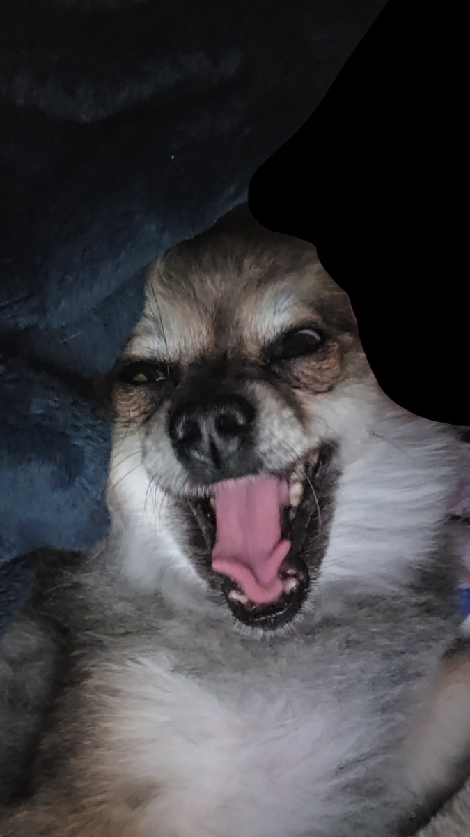 Happy Valentine's 🥹
#Valentine