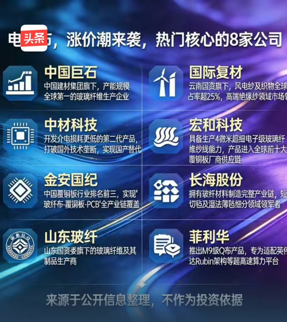 dacefupan's tweet photo. 电子布核心玩家仅此8家
​1、中国巨石
2025年三季报净利润25.68亿元，同比增长67.51%
核心优势：中国建材集团旗下，产能规模全球第一的玻璃纤维生产企业。

​2、国际复材
2025年报预告净利润2.600亿元至3.500亿元，增长幅度为1.73倍至1.99倍
云南国资旗下，风电纱及织物全球市占率超25%，在高端绝缘纱等领域也占据市场领先地位。

​3、中材科技
2025年报预告净利润15.50亿元至19.50亿元，增长幅度为73.79%至118.64% 
核心优势：开发出介电损耗更低的第二代产品，打破国外技术垄断，实现国产替代。

​4、宏和科技
2025年报预告净利润1.927亿元至2.255亿元，增长幅度为7.45倍至8.89倍
核心优势：具备生产4微米超细电子级玻璃纤维纱线的能力，已进全球前十大覆铜板厂商的供应链。

​5、金安国纪
净利润2.800亿元至3.600亿元，增长幅度为6.56倍至8.71倍
核心优势：中国覆铜板行业排名前三，实现“玻纤布-覆铜板-PCB”全产业链覆盖。

​6、长海股份
2025三季报净利润净利润2.57亿元，同比增长27.16% 
核心优势：拥有从玻纤材料制造的完整产业链，为短切毡及湿法薄毡细分领域领军者。

​7、山东玻纤
2025三季报净利润-21.38万元，同比增长99.81%
核心优势：山东国资委旗下的玻璃纤维及其制品生产商。

​8、菲利华
2025三季报净利润3.34亿元，同比增长42.23%
核心优势：推出M9级电子布布产品，专为适配英伟达Rubin架构等超高速算力平台。