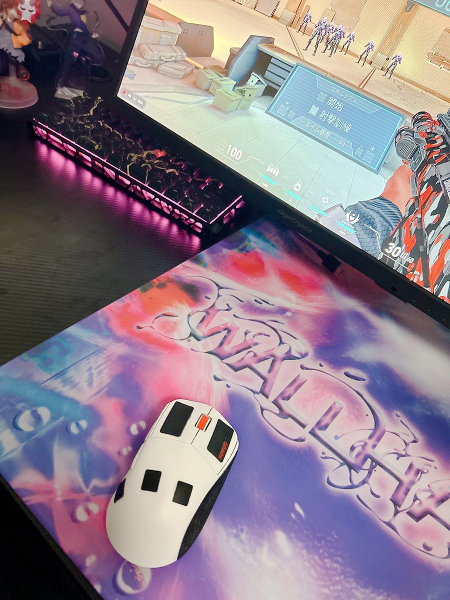 fps___BABY's tweet photo. new マウスパッド✨️

#wallhack https://t.co/lxoG9BF2nE