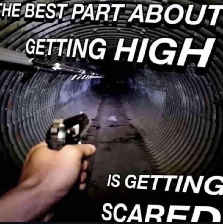 philosophy memes 🔗 tweet media