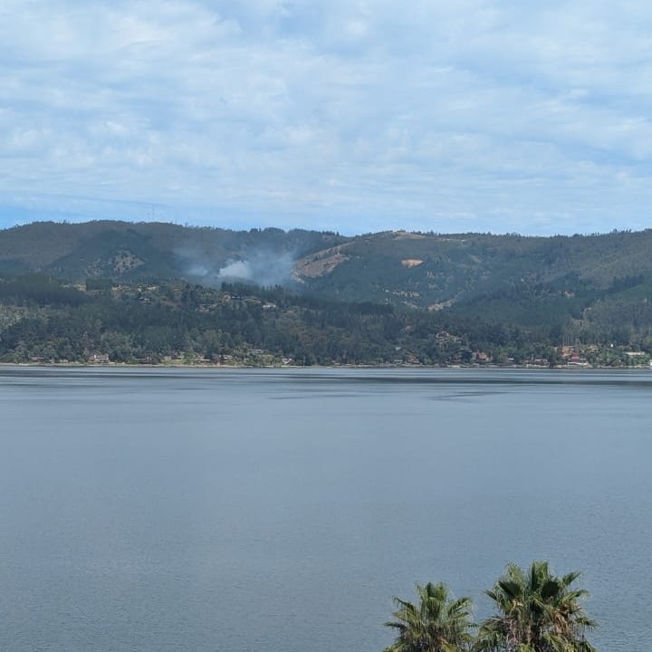 fcomorales's tweet photo. Incendio en Lago Vichuquén. La primera foto es de las 12.28, la segunda de las 14.55. A las 12.49 llamé al 130 y confirmaron que habia cuadrilla de Conaf y helicópteros. La evacuación con alerta SAE parece muy tarde respecto al avance del fuego. https://t.co/D7s7fbvgMZ