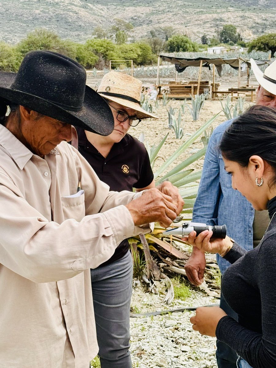 En #FundaciónPorMéxico impulsamos #ProgramasEducativos, #AlfabetizaciónDigital y #CompetenciasLaborales para que más mexican@s concluyan sus estudios, fortalezcan sus #HabilidadesDigitales y mejoren su #Empleabilidad. 

¡Seguimos trabajando día a día, para transformar vidas!