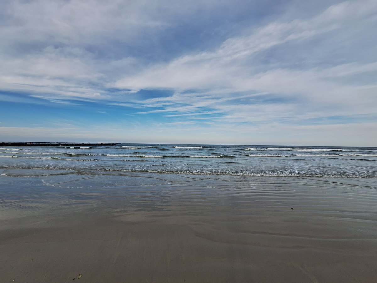 Kevin Nouse tweet media