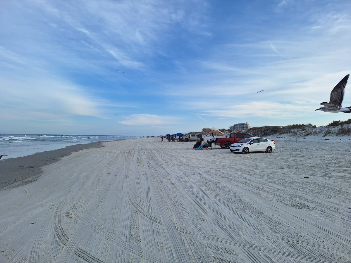 Kevin Nouse tweet media