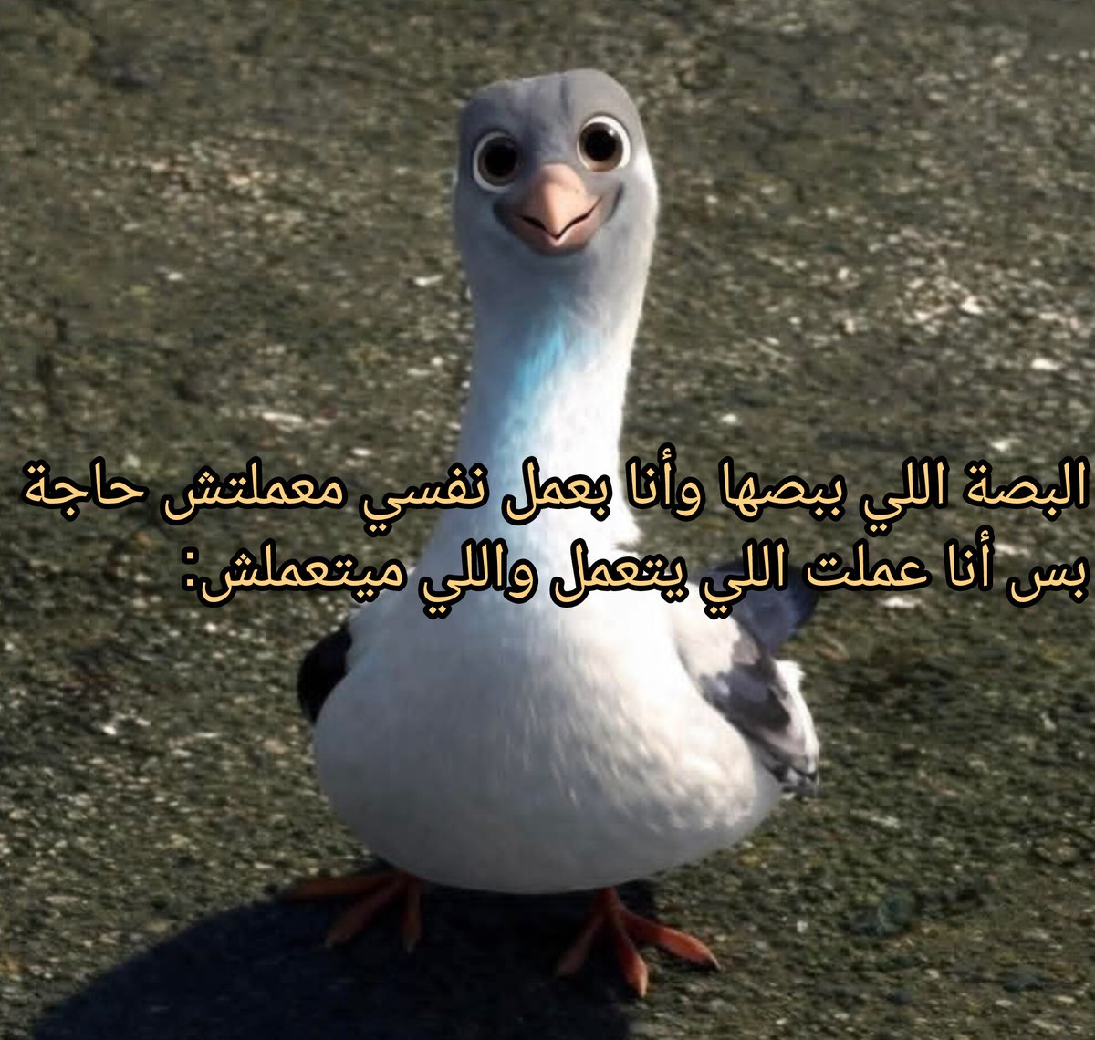 ema (@iemanayman) on Twitter photo 