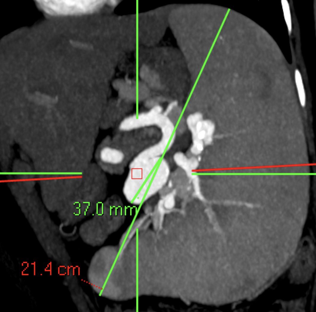 Mo Hamady tweet media